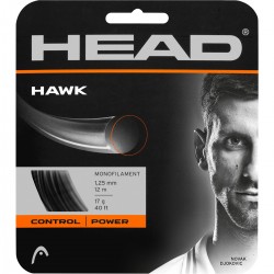 Head Hawk + Pose